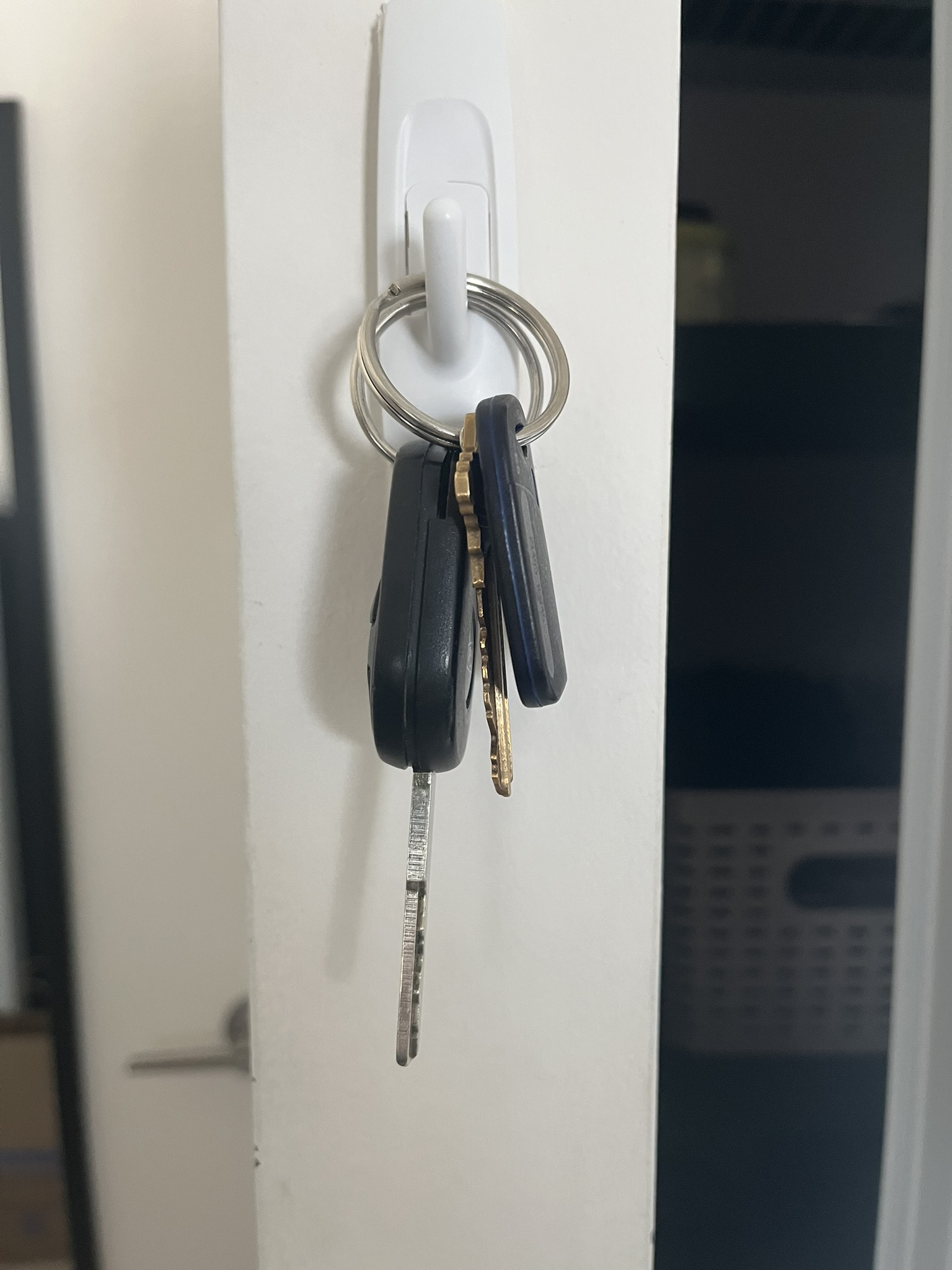 This is my house keys and my car keys, I love the freedom they give me.<br><audio controls src='/audio/keys.mp3'></audio>