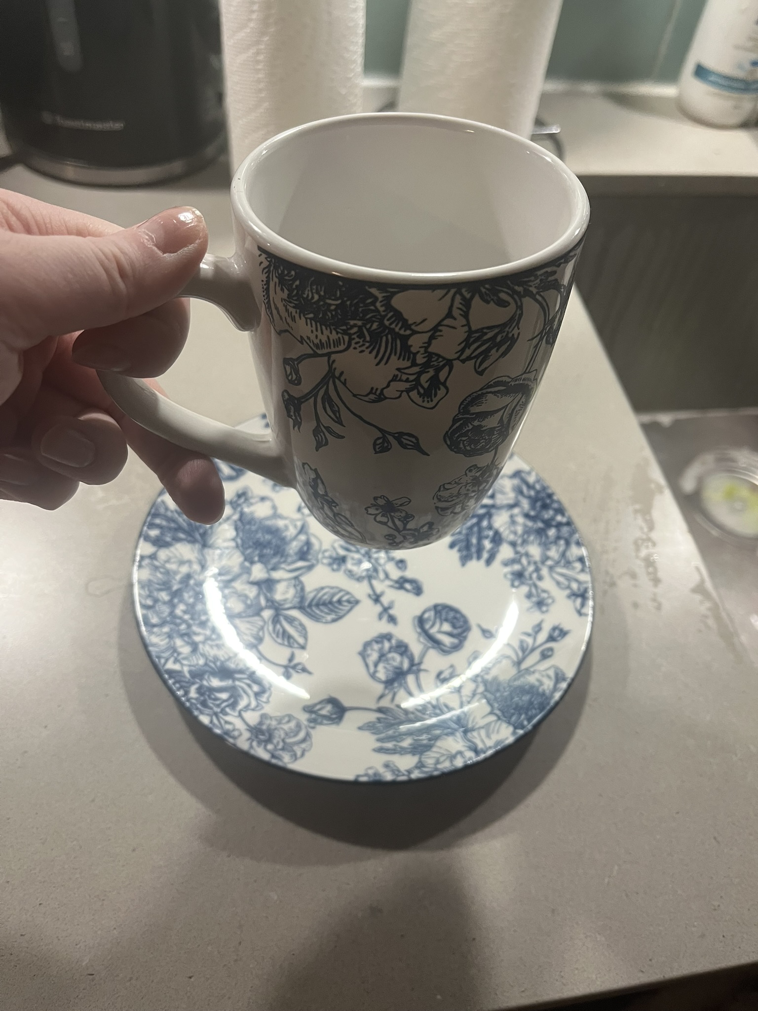 This is the plate and cup I was thinking of using for that  previous cup idea.
