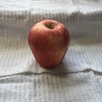 This is a delicious apple that I thought would be a good starting point.