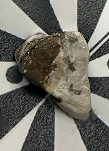 put a description here or you will lose grades